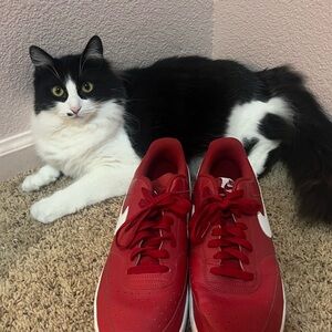 Nike Red Sneakers with White Accents
